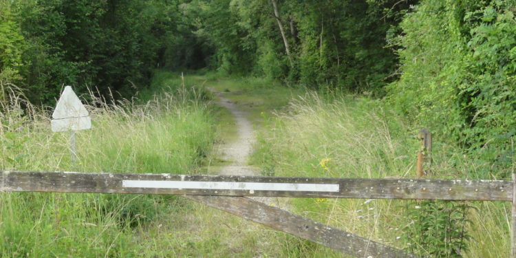 trail sarthe