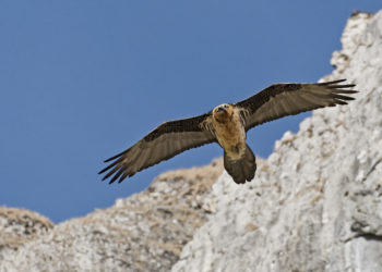 les conséquences de la crise sanitaire sur le trail