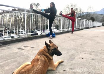 Faites du sport avec votre chien