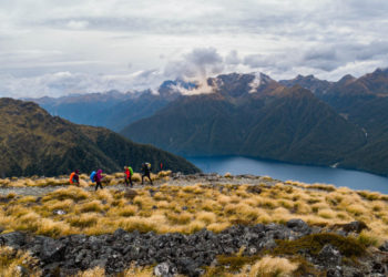 chaussures de trail en randonnée