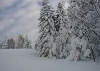 Le ski n’existera plus dans 10 ans