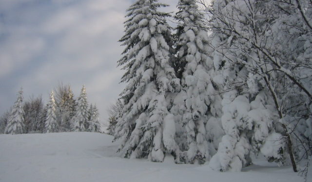 Le ski n’existera plus dans 10 ans