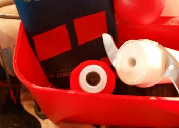 moisissures flasques traces noires