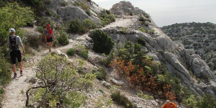 Marseille : comment choisir ses chaussures de trail pour courir dans les calanques ?