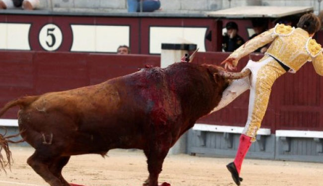 Les traileurs amateurs amoureux de la nature et du sport l’ont  dans le…