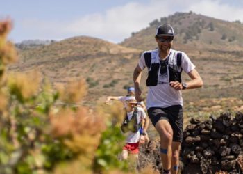 françois d'haene salomon