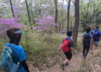 Reprise : un trail au Japon avec 1360 traileurs s’est couru ce week-end !