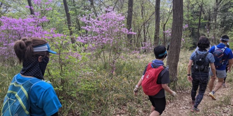 Reprise : un trail au Japon avec 1360 traileurs s’est couru ce week-end !