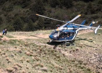 Bruits d’animaux la nuit : il part camper et appelle les secours…