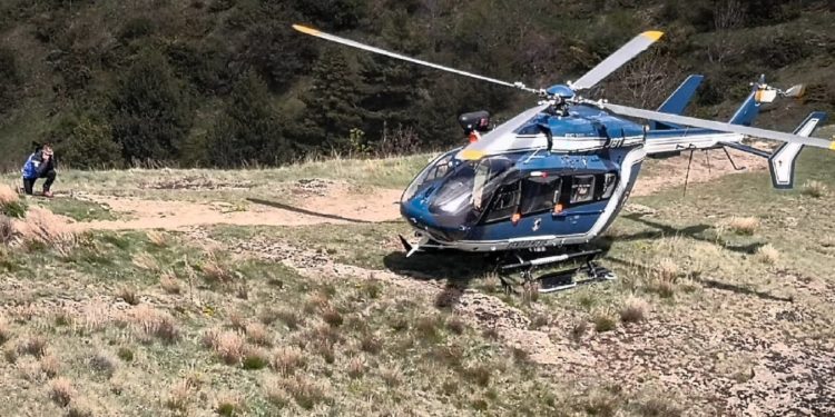 Bruits d’animaux la nuit : il part camper et appelle les secours…