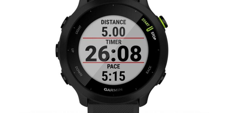 Montre cardio gps discount forerunner 245 grise