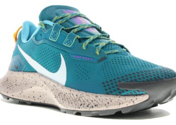 Nike Pegasus Trail 3