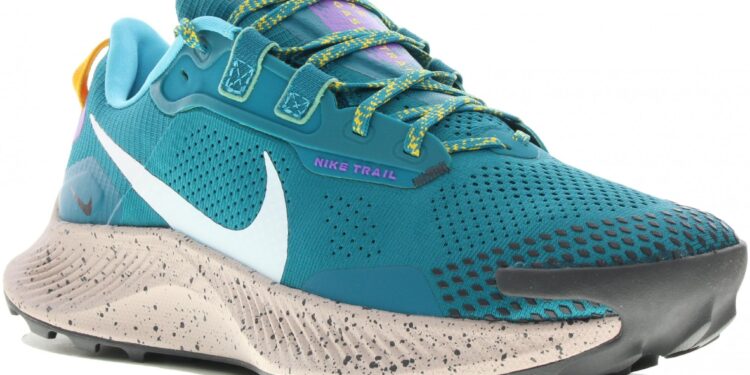 Nike Pegasus Trail 3