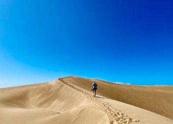Les traileurs français qui vont tout casser demain : Lucille Germain, Anaïs Sabrié, Anthony Felber, Antoine Charvolin, Antoine Corpel, Théo Détienne et Sylvain Cachard