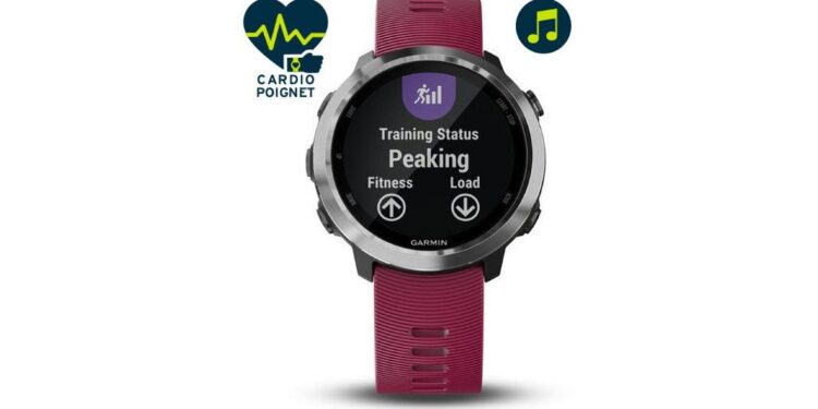 Montre Garmin Forerunner 645 Music