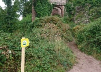 Résultat ultra trail du haut koenisbourg