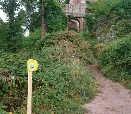 Résultat ultra trail du haut koenisbourg