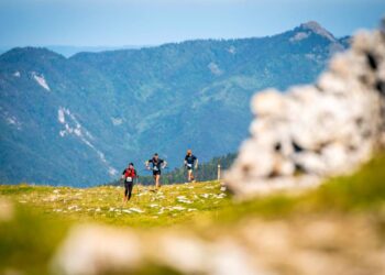 direct ultra trail des monts du jura