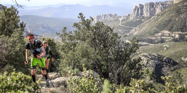 Résultat trail de la Sainte Baume