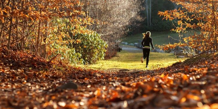 courir automne