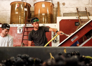 françois d'haene vin