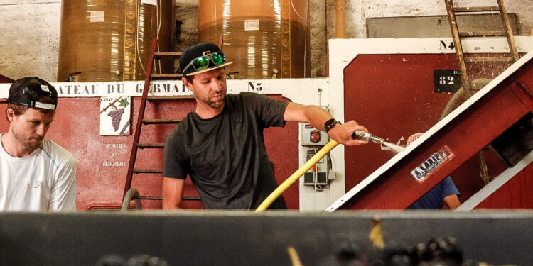 françois d'haene vin