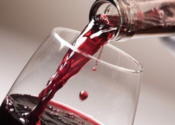 vin sport equivalence vin sport