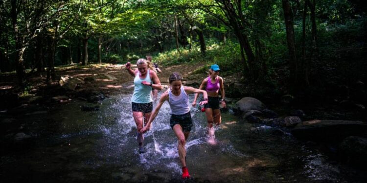 ceinture d'hydratation salomon