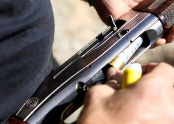 ON VALIDE : les ecolo veulent interdire la chasse le week end !