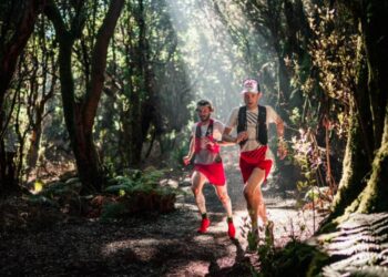 Top 3 des chaussures Salomon pour faire du trail court ou du cross