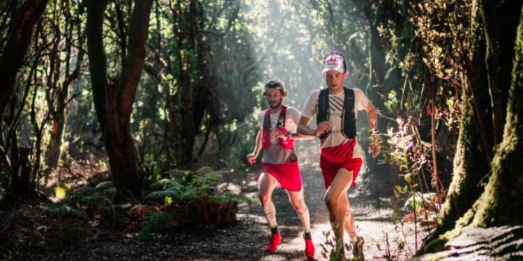 Top 3 des chaussures Salomon pour faire du trail court ou du cross