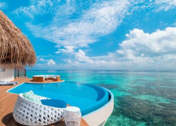 Oh.. Il organise un trail et part vivre aux Maldives avec l’argent amassé !