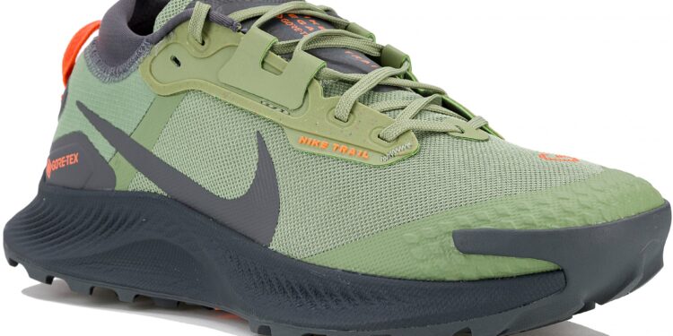 Nike Pegasus trail 3