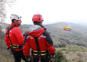 VIDÉO. France : une traileuse poussée dans un ravin, le drame évité de justesse