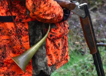 accident de chasse cantal