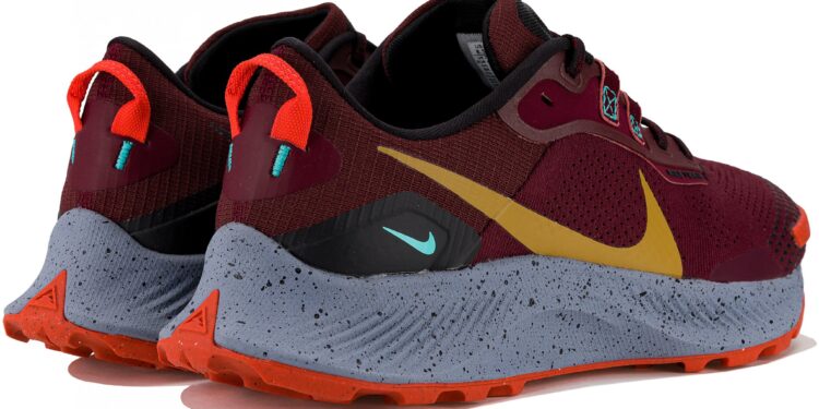 Nike Pegasus Trail 3