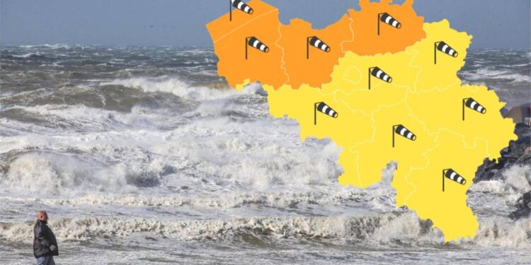 EN DIRECT tempête Eunice : un arbre tombe sur un joggeur de 18 ans