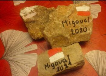 migoual concept race