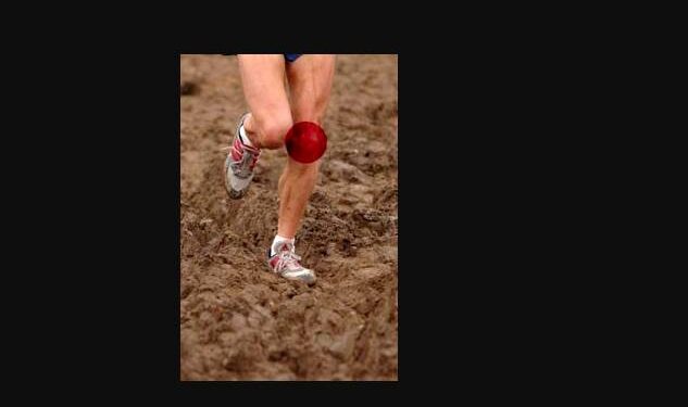 tendinite rotulienne