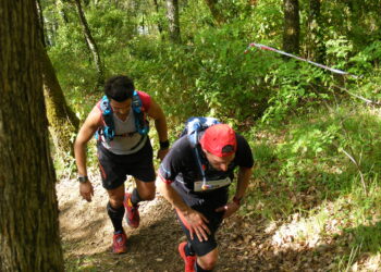 Résultat Périgord Grand Trail