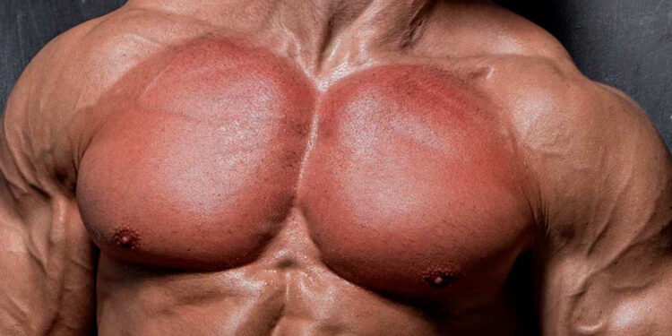 Musculation & trail : faut-il faire du travail de force jusqu’à l’épuisement ?