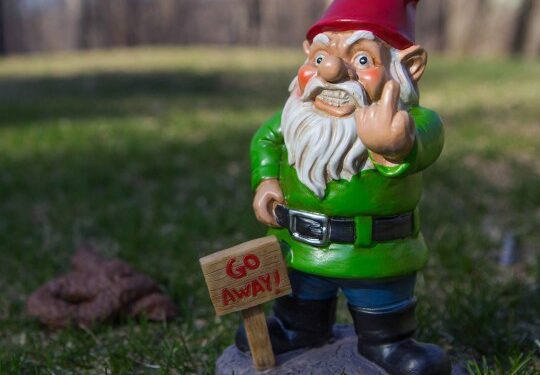 Une demande en mariage gâchée par un nain sur un trail