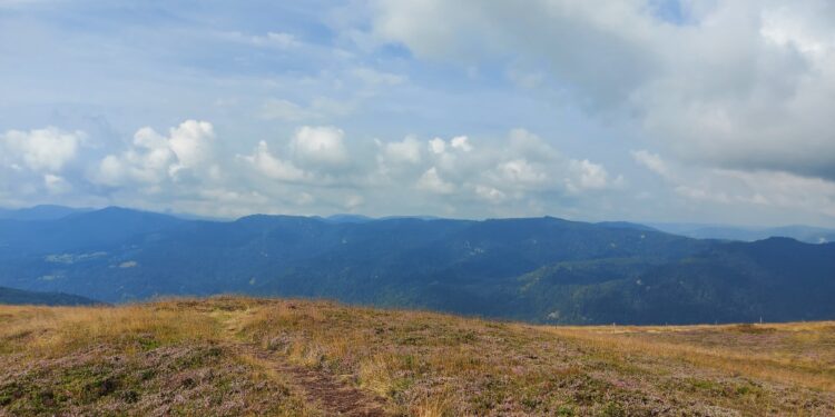 Marathon du Grand ballon