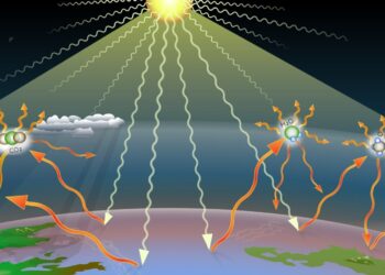 Trails : un détecteur de pets installé sur les sentiers