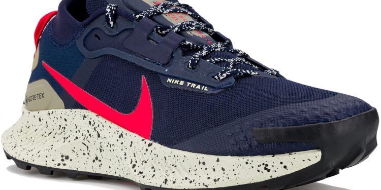 Nike Pegasus trail 3