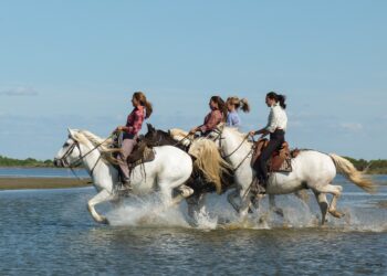 Agenda et calendrier trail du dernier week-end d’octobre