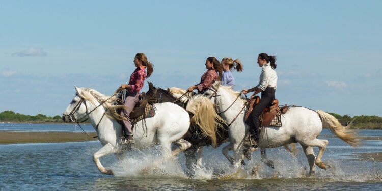 Agenda et calendrier trail du dernier week-end d’octobre