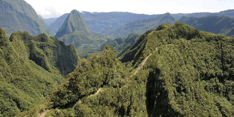 La remise en état des sentiers à la Réunion a coûté 150 000 euros cette année