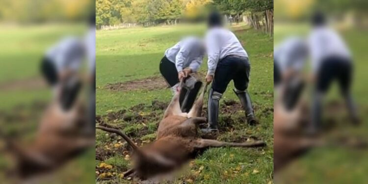 Chasse : nouvel exemple du 2 poids 2 mesures