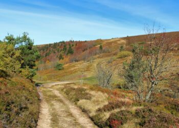 Les meilleurs trails ce week-end